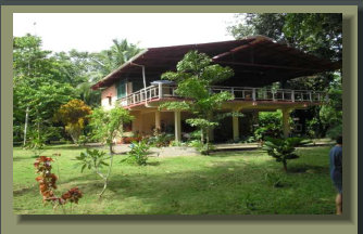 Beachfront House with 2 Ha of Gardened Land and 200 metres of Beach, close to river and beautiful Mangrove complex. 