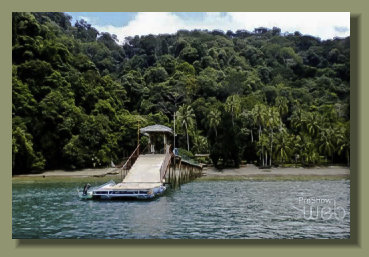The private Pier of a secluded Eco Lodge Beach front Property along the coast of the Golfo Dulce