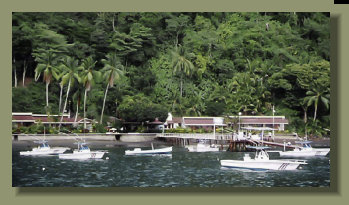 This Beach front Property has all the features of a great Fishing Lodge, and is one of the best Ocean front real estate of the south Costa Rica
