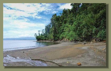 the Beach of the Oceanfront forest property along the north west coast of the Golfo Dulce Osa Peninsula