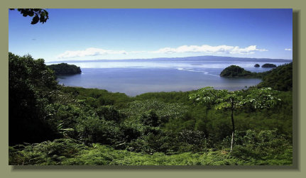 the beautiful ocean view form the top of a Golfo Dulce oceanfront Real Estate forest land in the Osa Peninsula