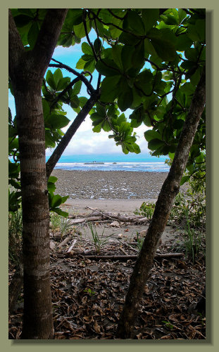 The Oceanfront Lot in the Osa Peninsula with Titled land and concession