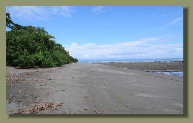 The infinite Beach of a Concession Lot Real estate in the Osa Peninsula