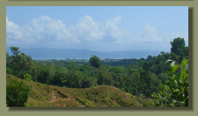 The Oceanview Spot of a  Farm Land Forest Land in the central Osa Peninsula with River and Fresh Water Spring 